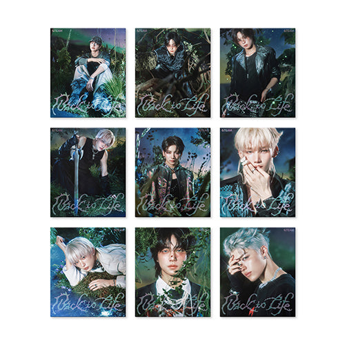 &TEAM | SOUNDBLOOM KPOP